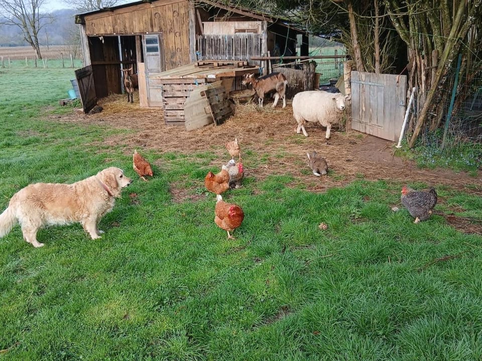 Une parenthése à la campagne House in Bourgogne-Franche-Comté