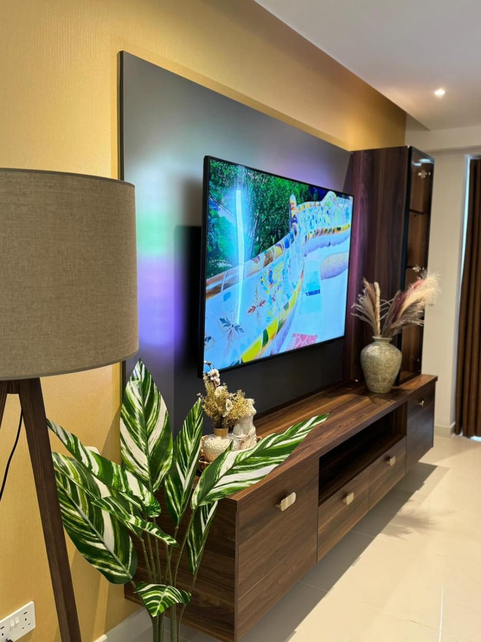 TV and multimedia