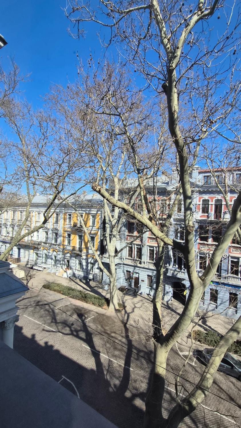 Neighbourhood, City view, Street view