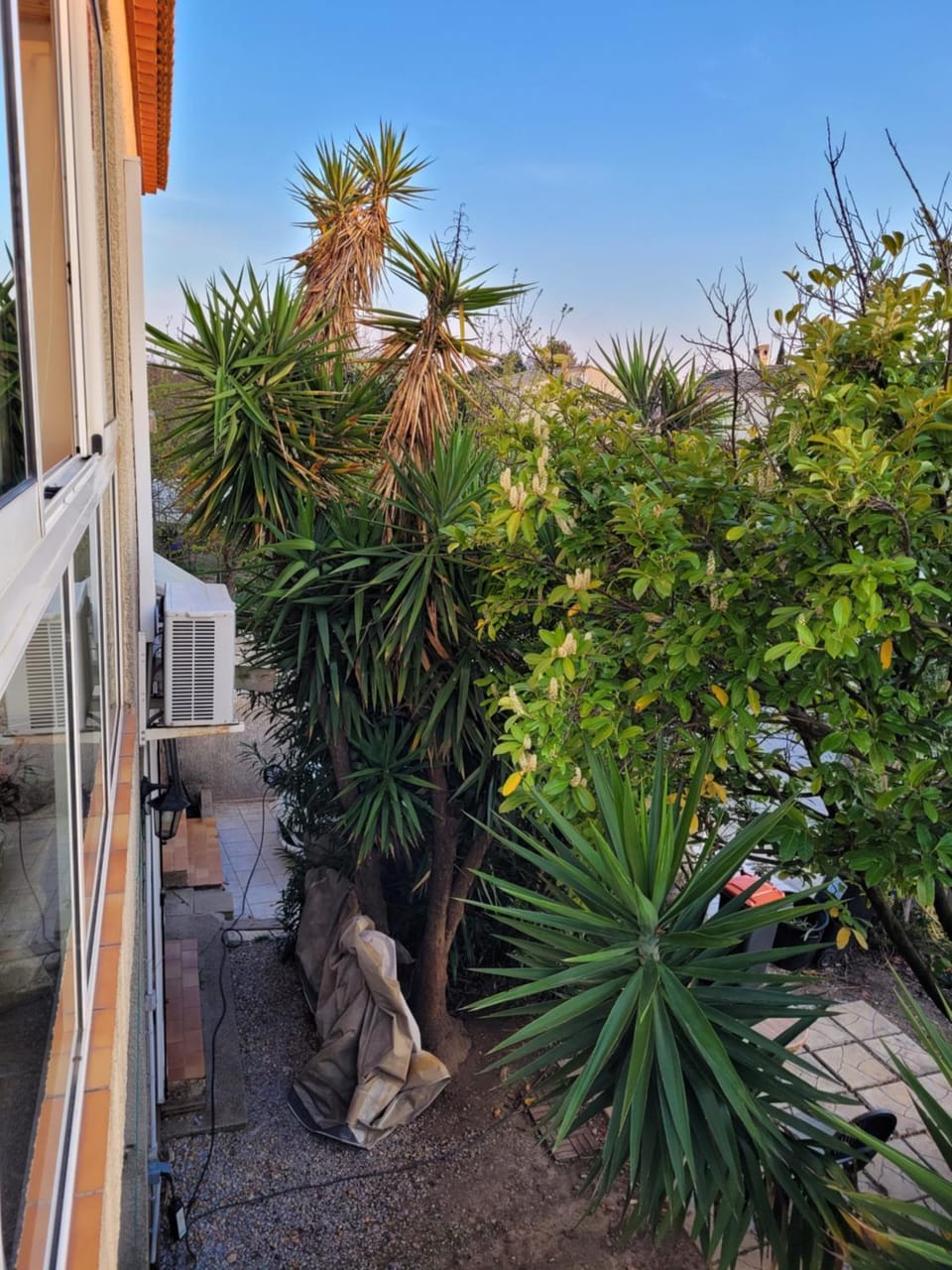 Garden, Balcony/Terrace, Garden view