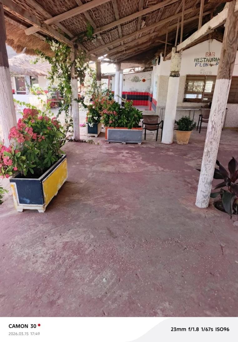Restaurant/places to eat, Day