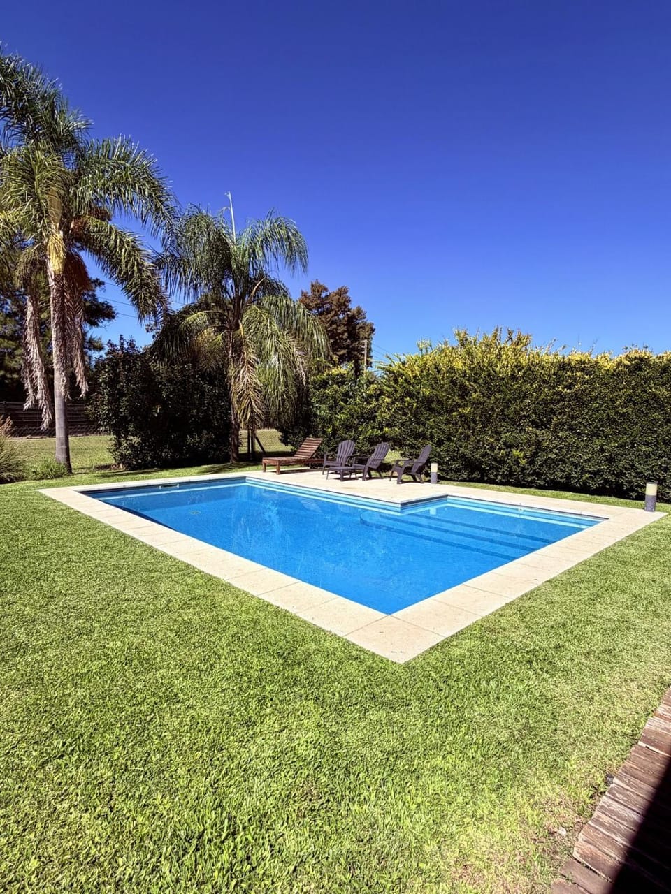 Day, Natural landscape, Garden, Garden view, Pool view, Swimming pool, sunbed