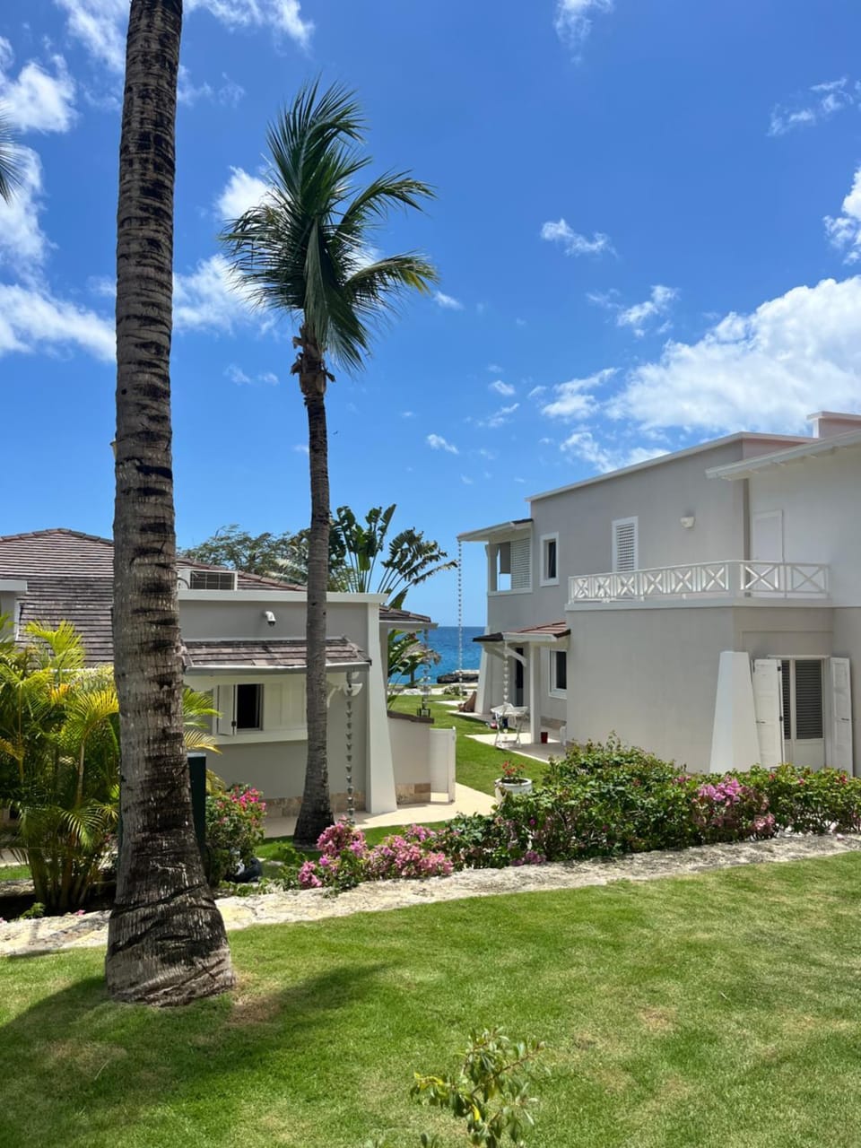 Garden view