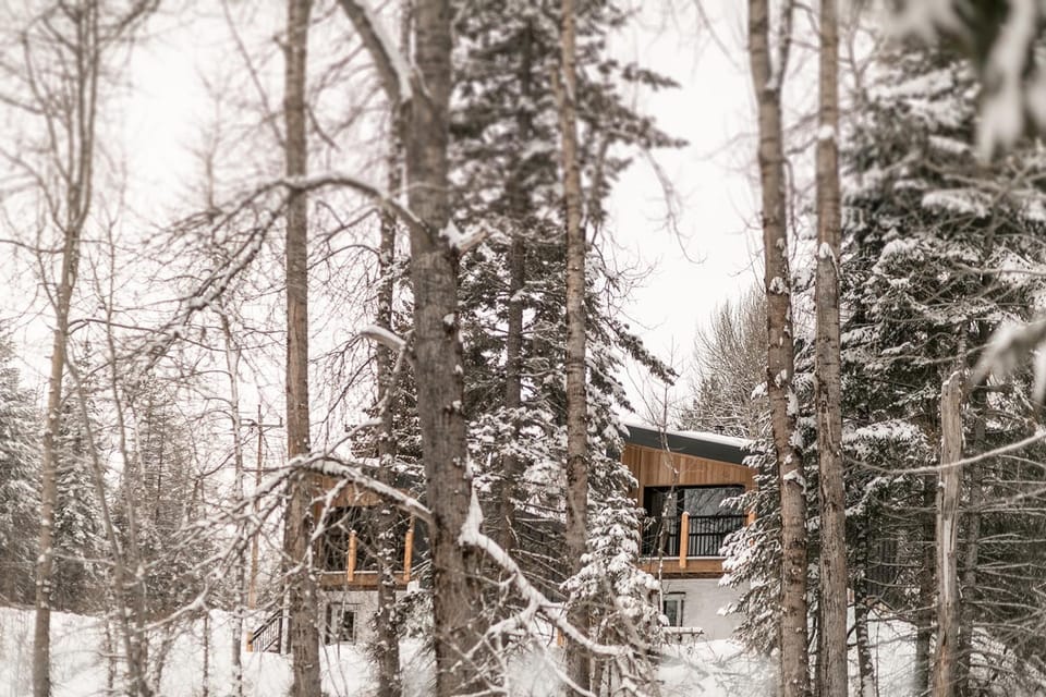 Natural landscape, Winter