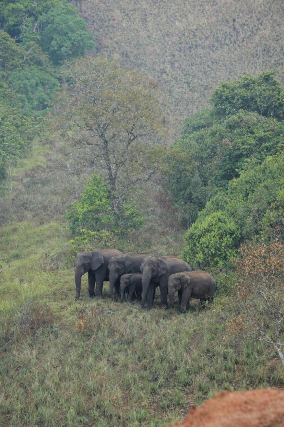 Nomadic Mounty Sathram Campground/ 
RV Resort in Kerala