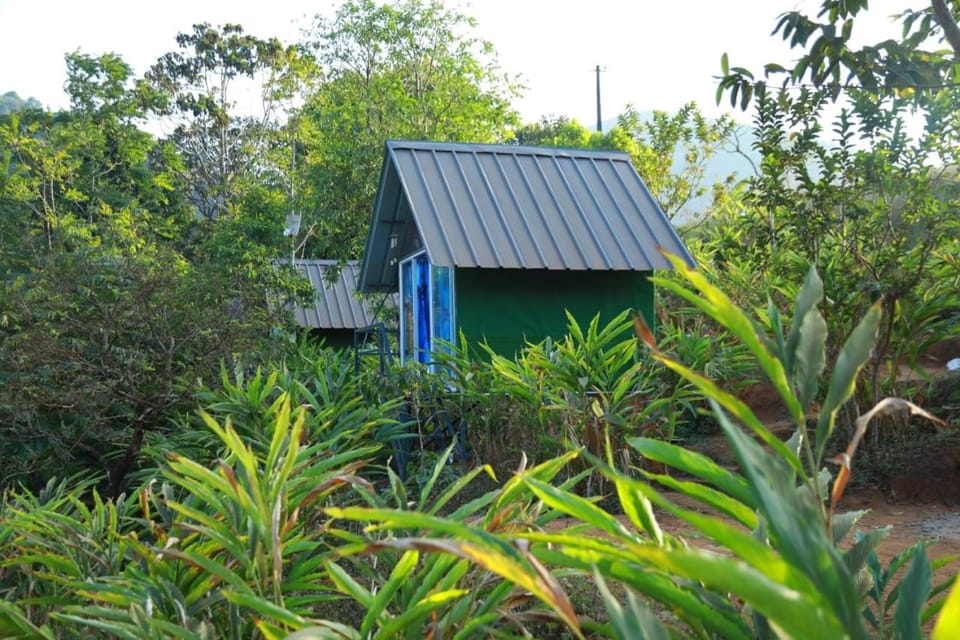 Nomadic Mounty Sathram Campground/ 
RV Resort in Kerala