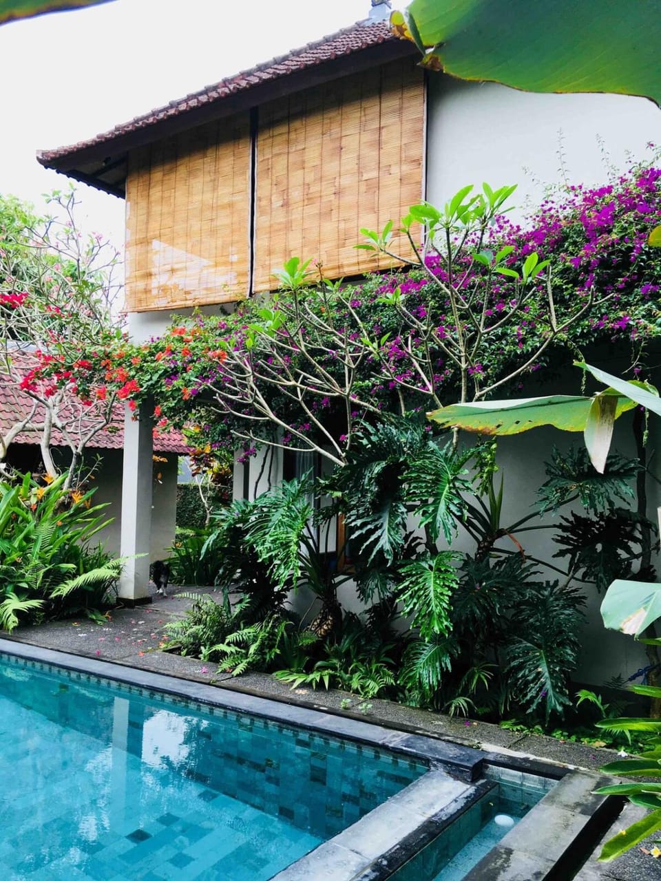 Private POOL VILLA Ubud centre in walking distance, Villa Capung Merah Villa in Sukawati