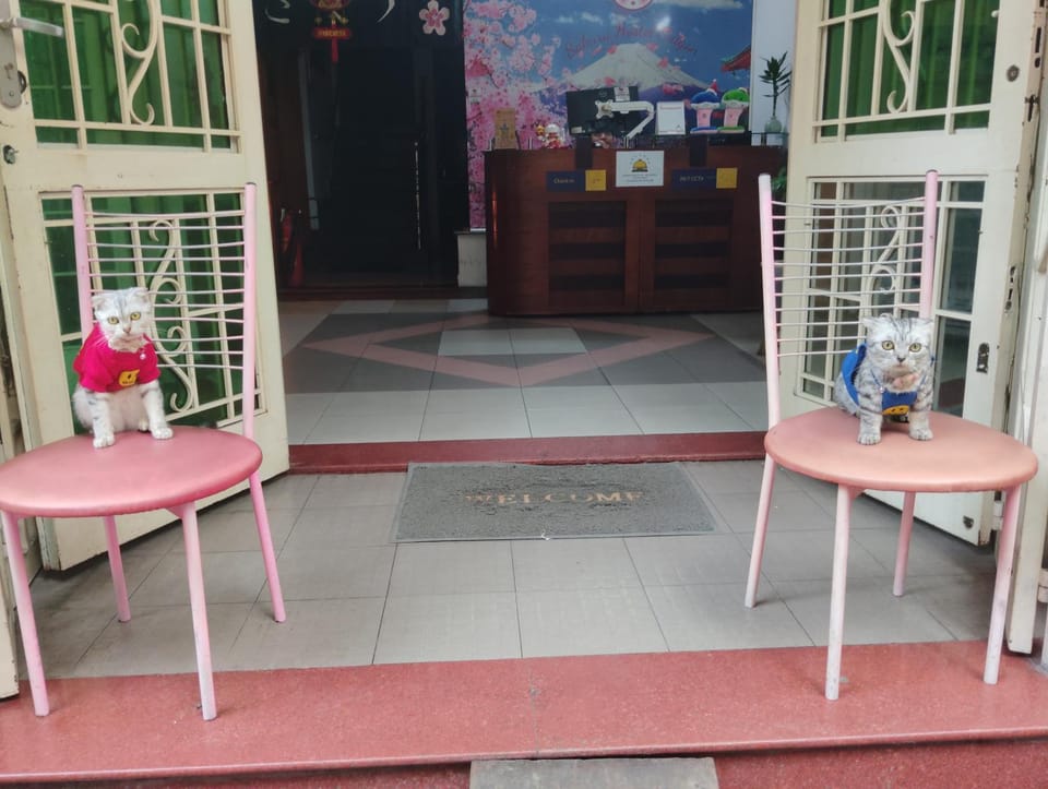 Sakura Dormitory Saigon Hostel in Ho Chi Minh City
