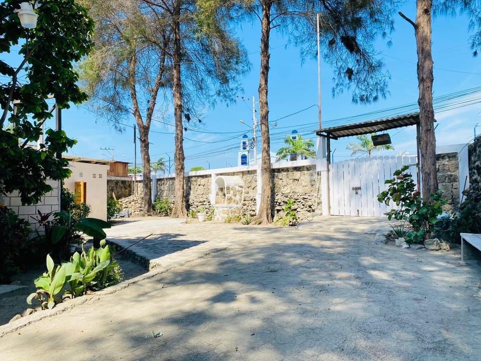 Garden, Garden, Garden view, Street view, Parking