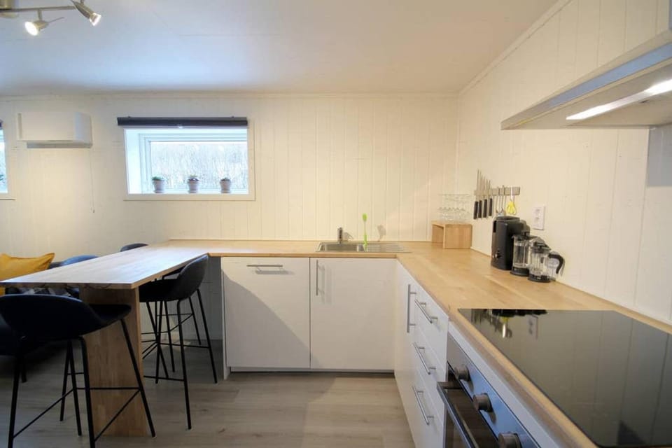 Kitchen or kitchenette, Dining area, oven, stove