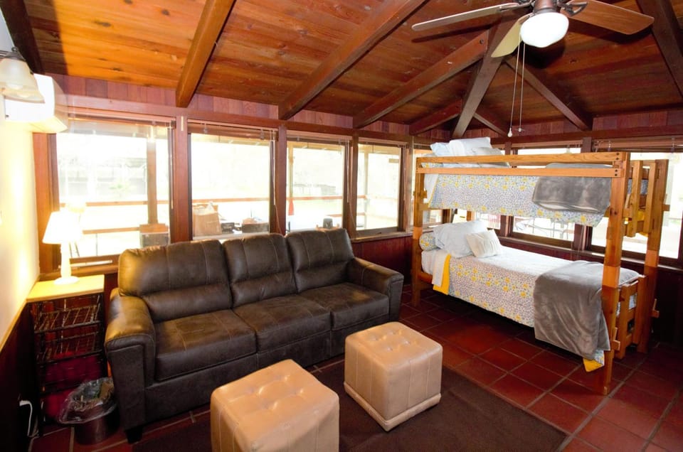 Bed, Game Room, Seating area, Bedroom, bunk bed