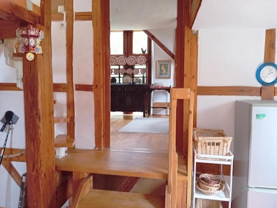 Communal kitchen, kitchen