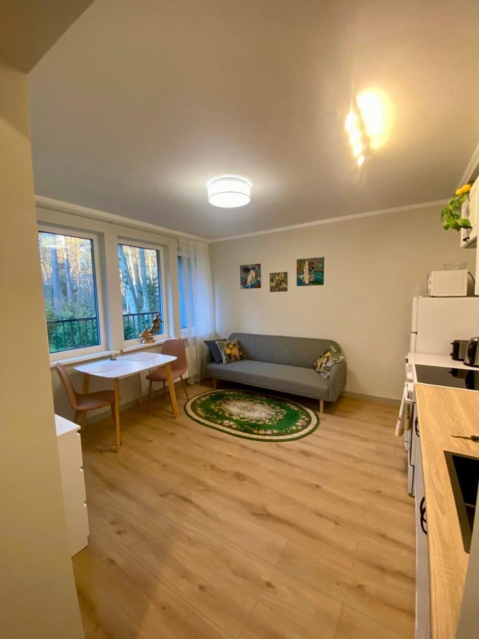 Cozy little apartment Apartment in Jūrmala