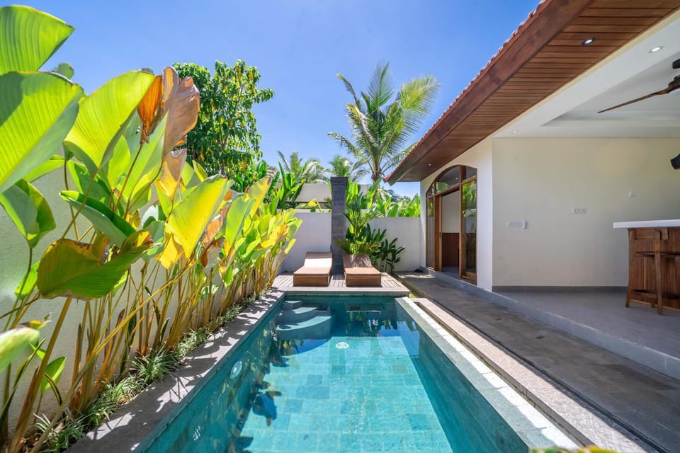 Garden, Garden view, Pool view, Swimming pool, Swimming pool, sunbed