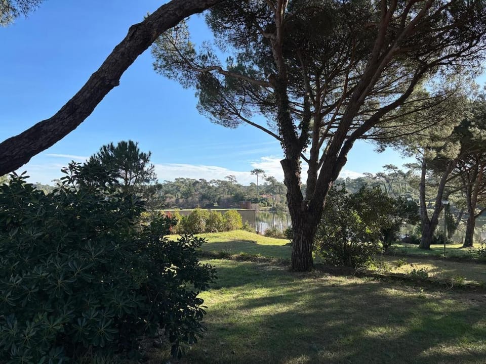 Garden, Garden view