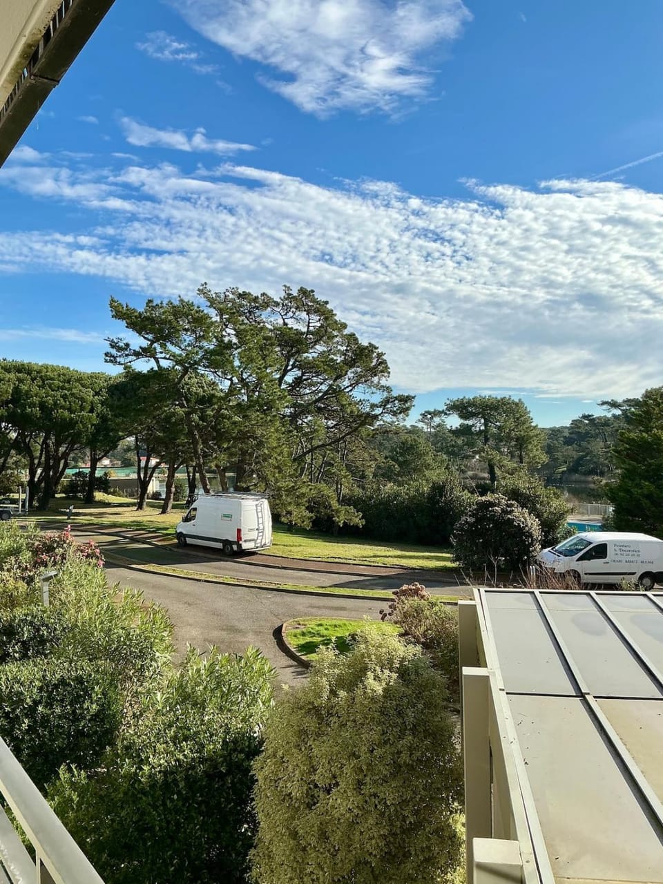 Garden view
