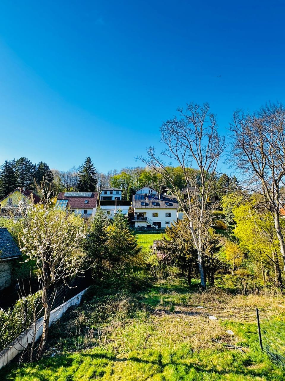 Day, Garden, Garden view