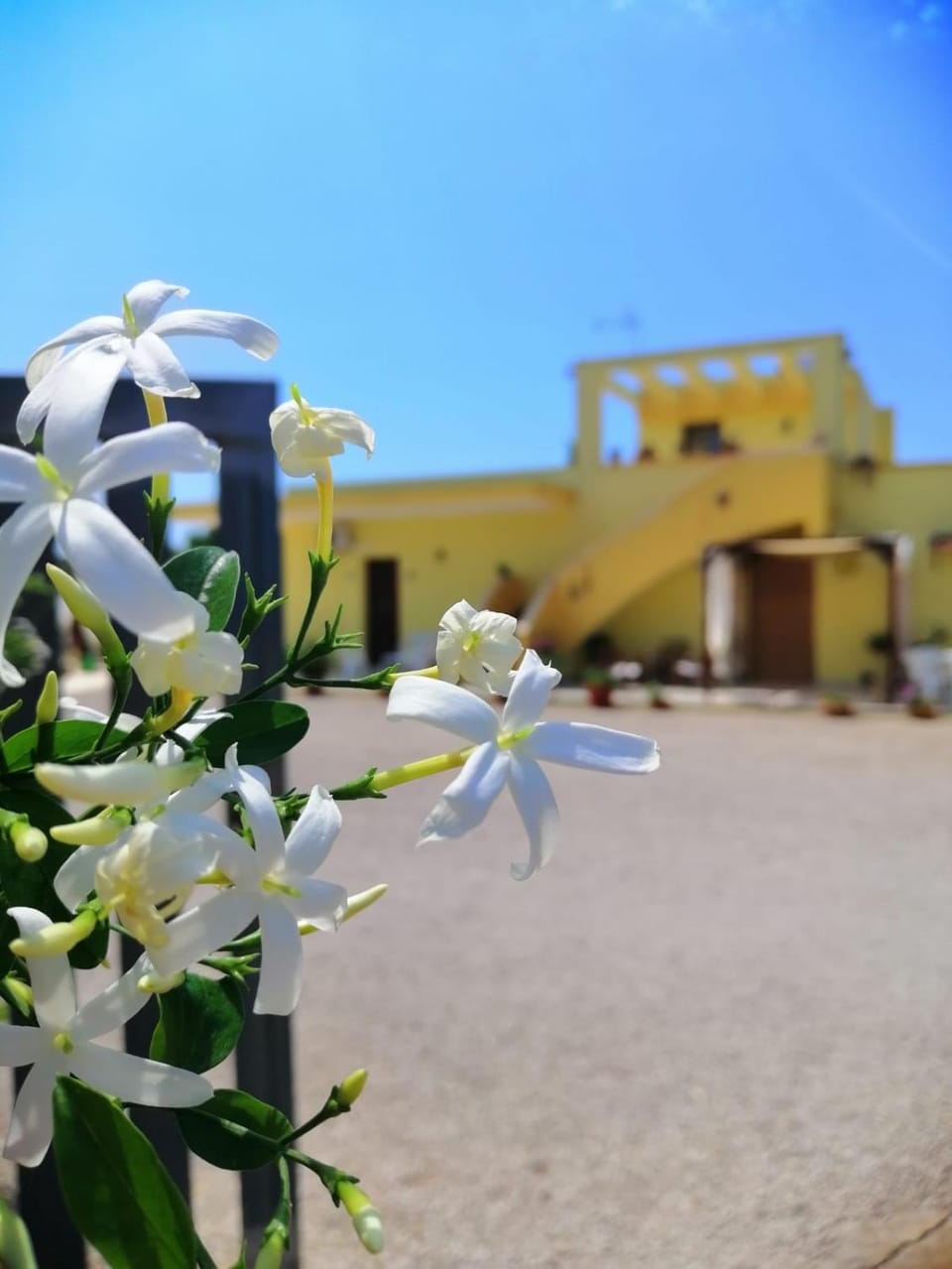 TeNuTa Li Frasulli Bed and Breakfast in Apulia