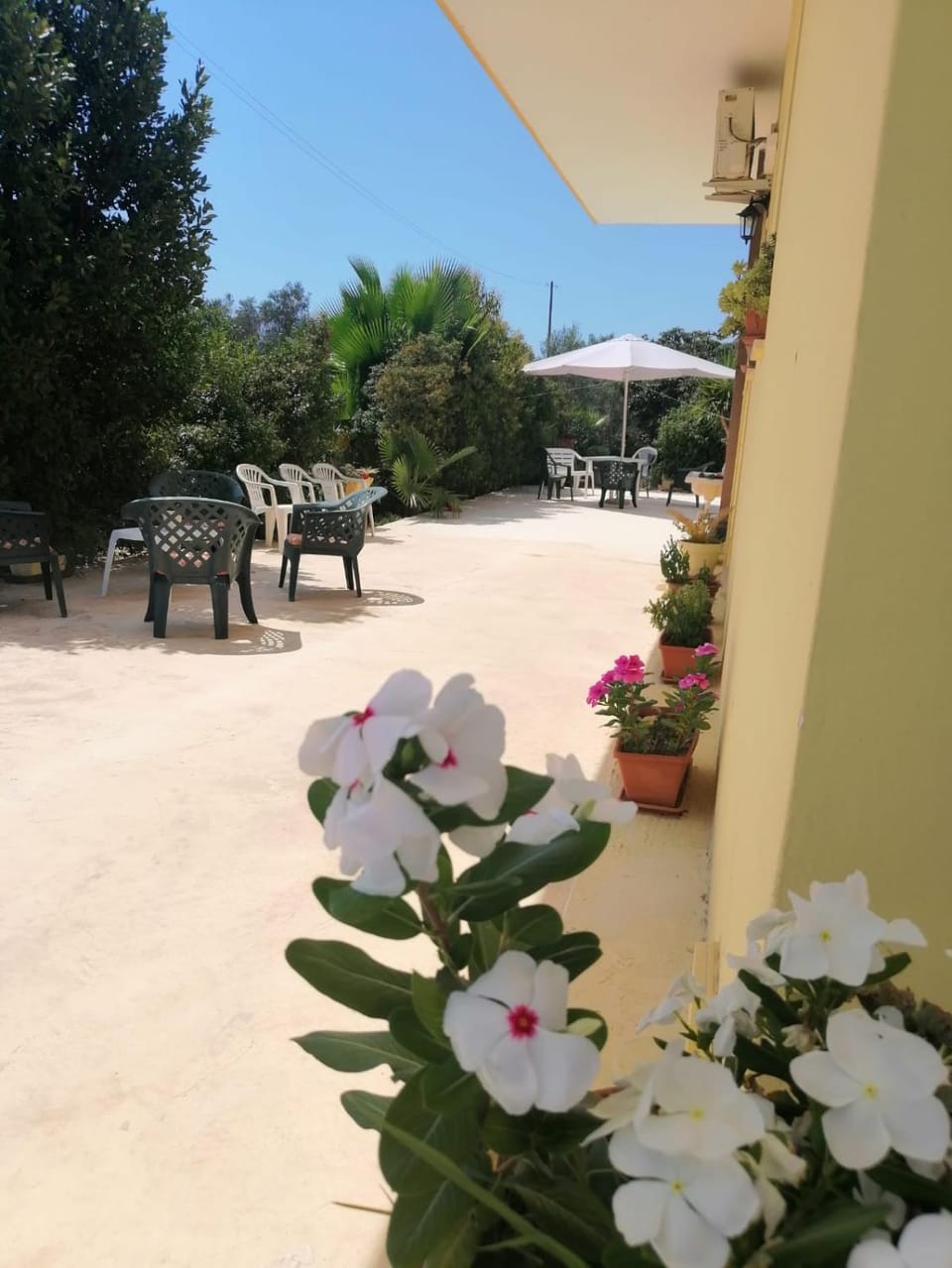 TeNuTa Li Frasulli Bed and Breakfast in Apulia
