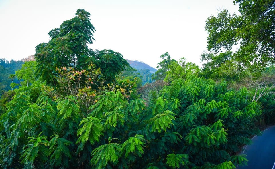 Infinite cabana Villa in Uva Province, Sri Lanka