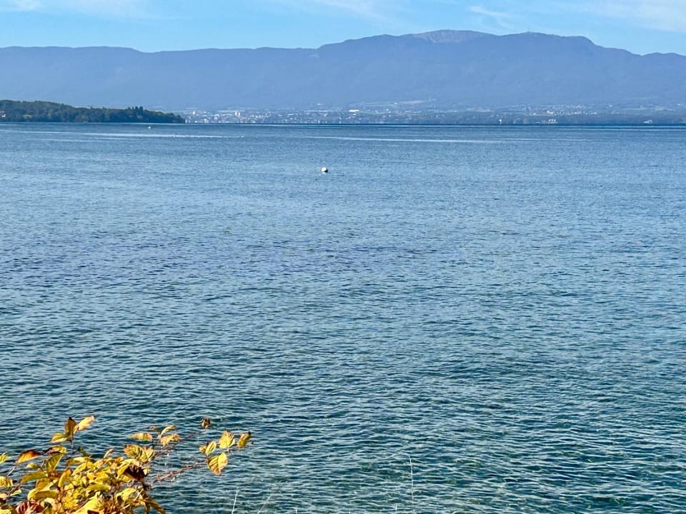Grande maison familiale au bord du lac Léman Villa in Haute-Savoie
