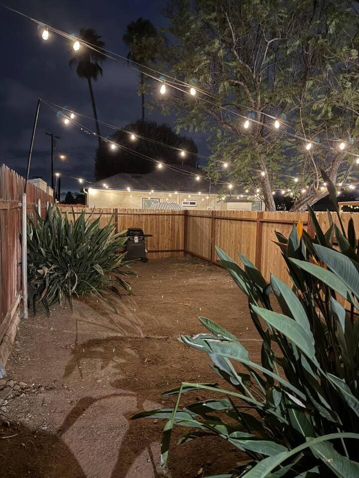 Night, Garden, Garden view