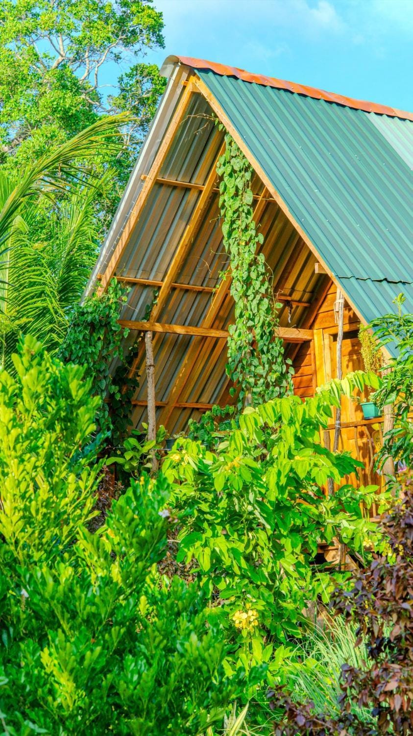 Birdsong eco cabana Nature lodge in Dambulla