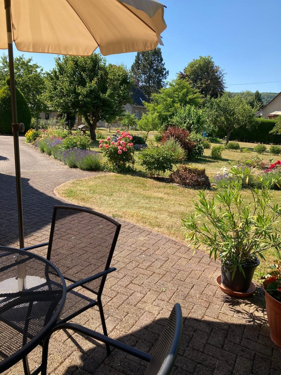 Garden view