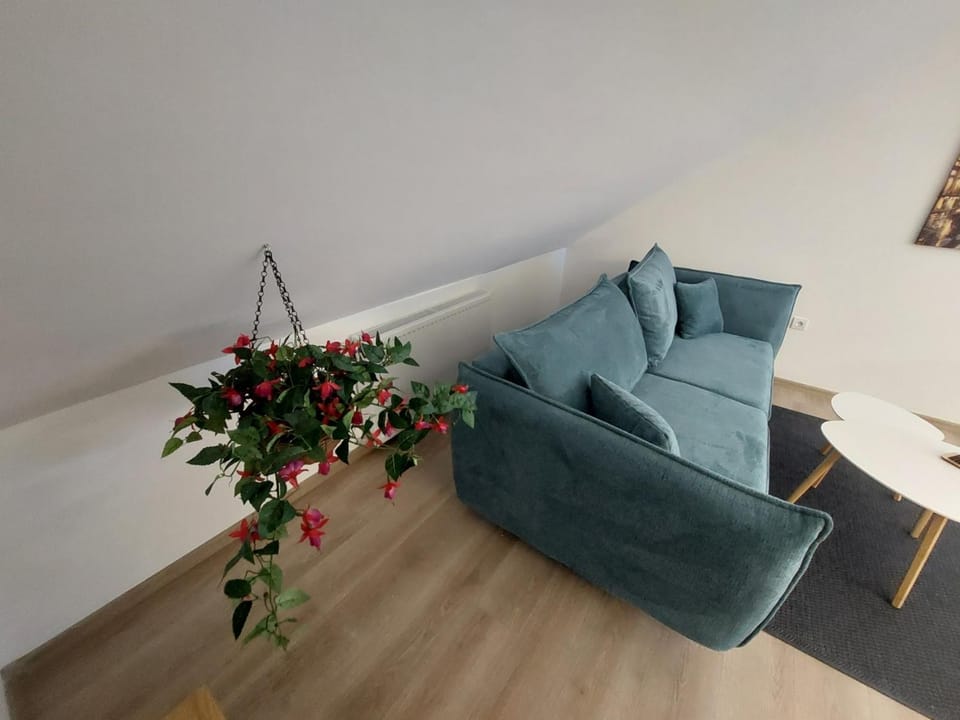 Oaza Apartmani ZEVS Apartment in Belgrade