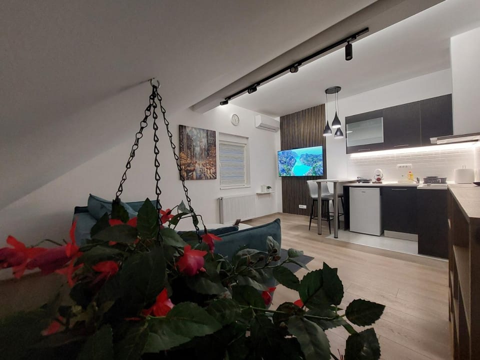 Oaza Apartmani ZEVS Apartment in Belgrade