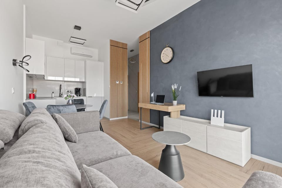 Living room, internet, air conditioner