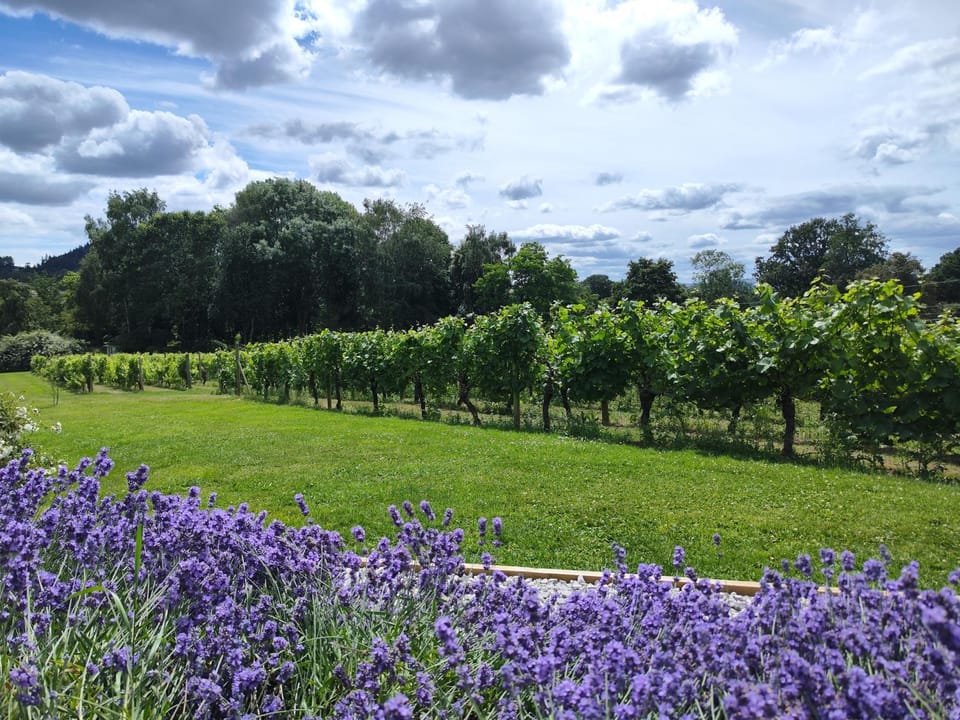 Vineyard Holiday Lodge near Ledbury House in Malvern Hills District