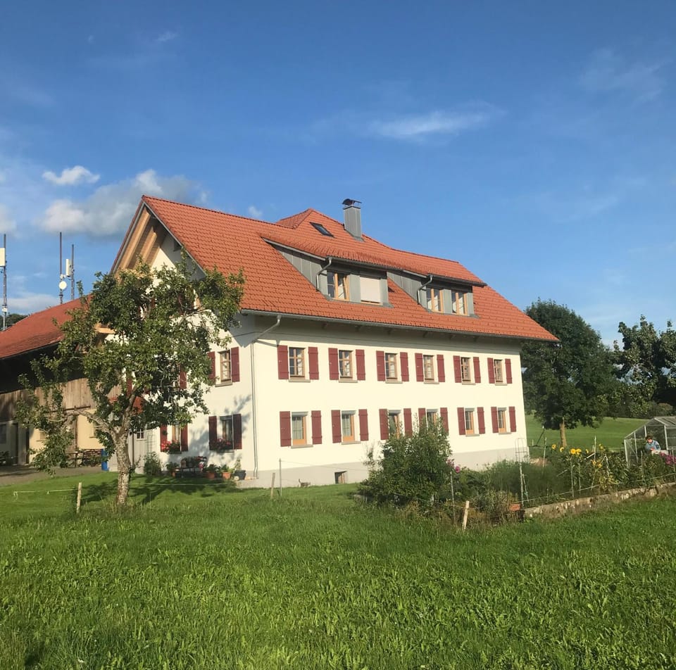 Property building, Spring, Garden