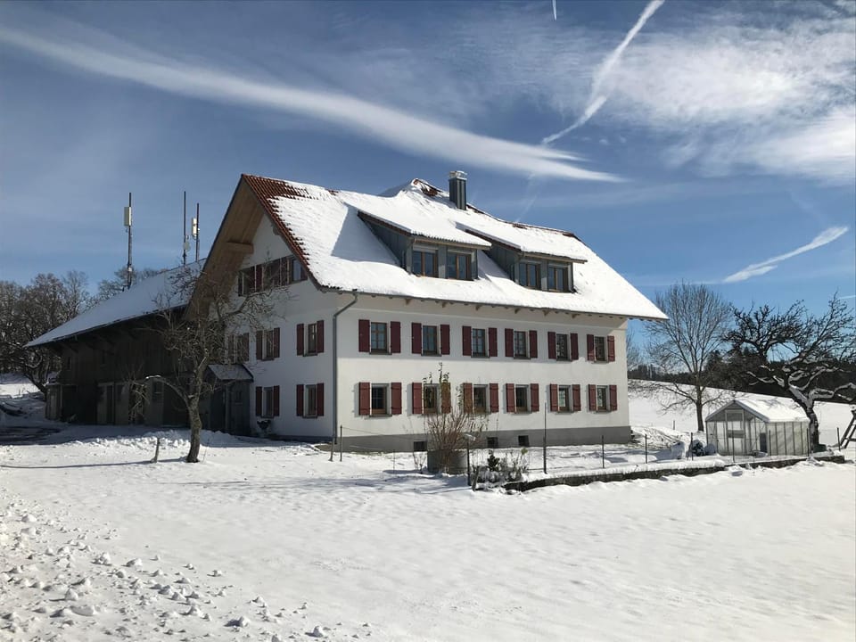 Property building, Winter