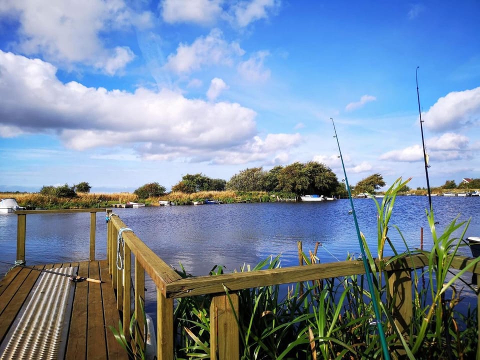 Lake view