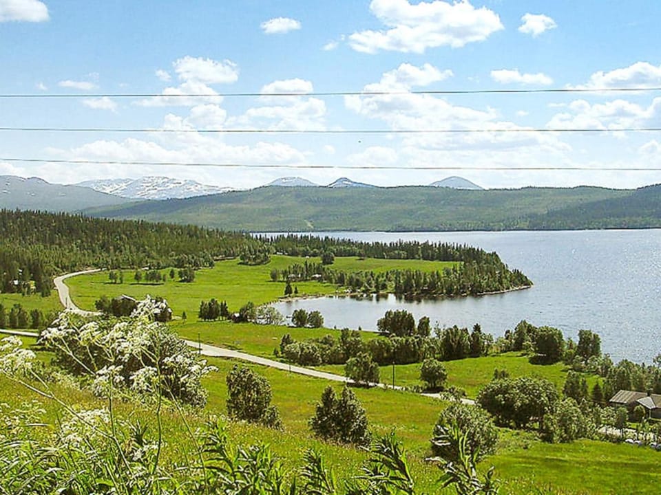 Lake view