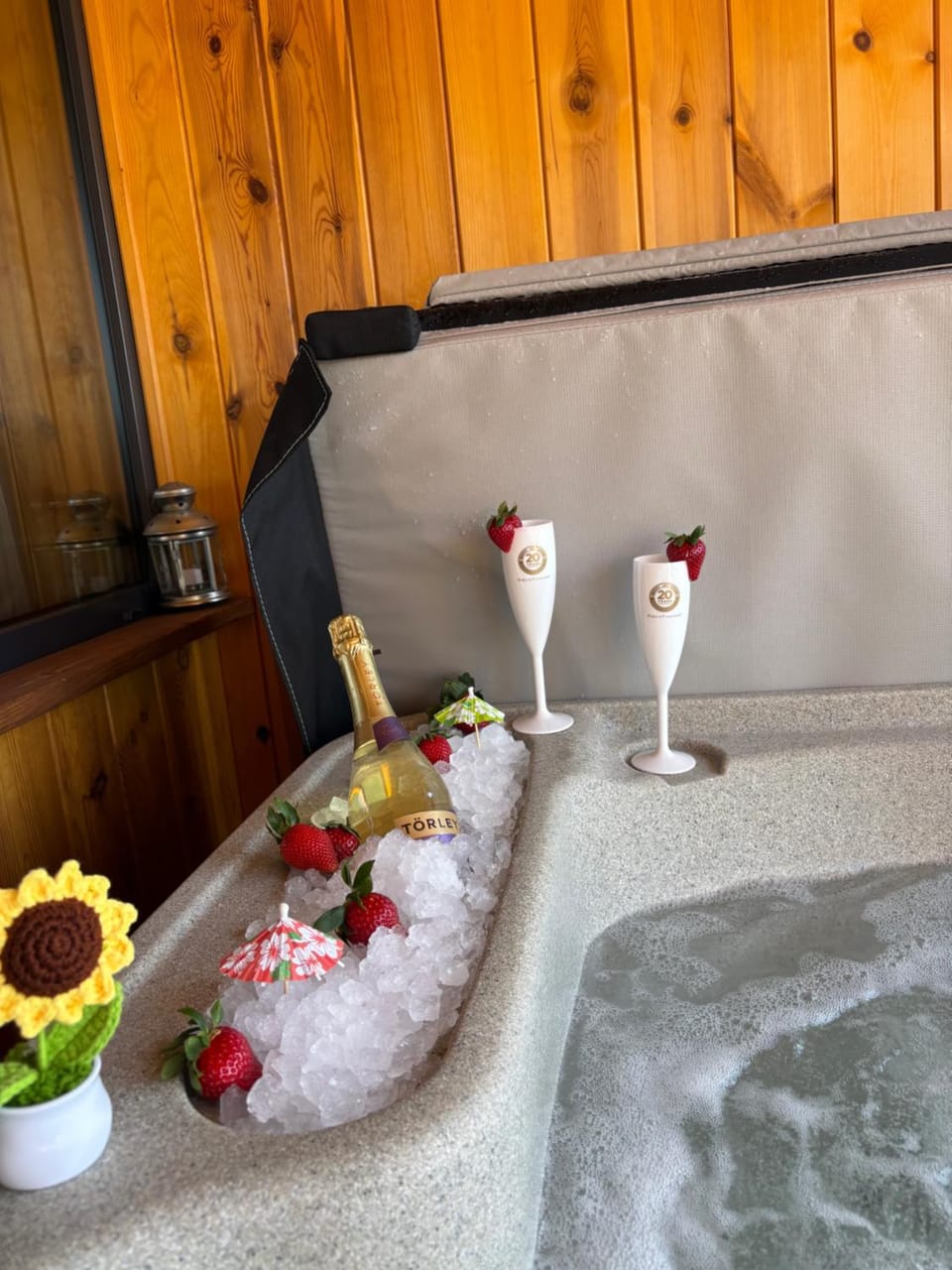 Hot Tub, Spa and wellness centre/facilities