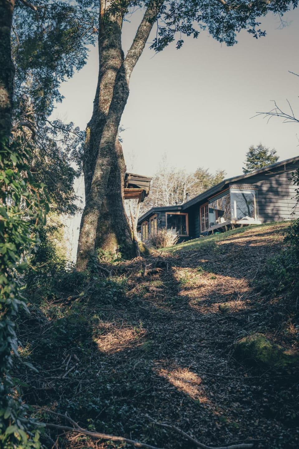Meular Habitación Doble Hotel in Los Lagos, Chile