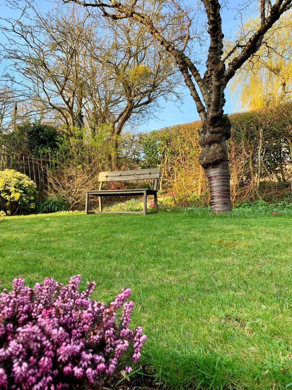 Garden view