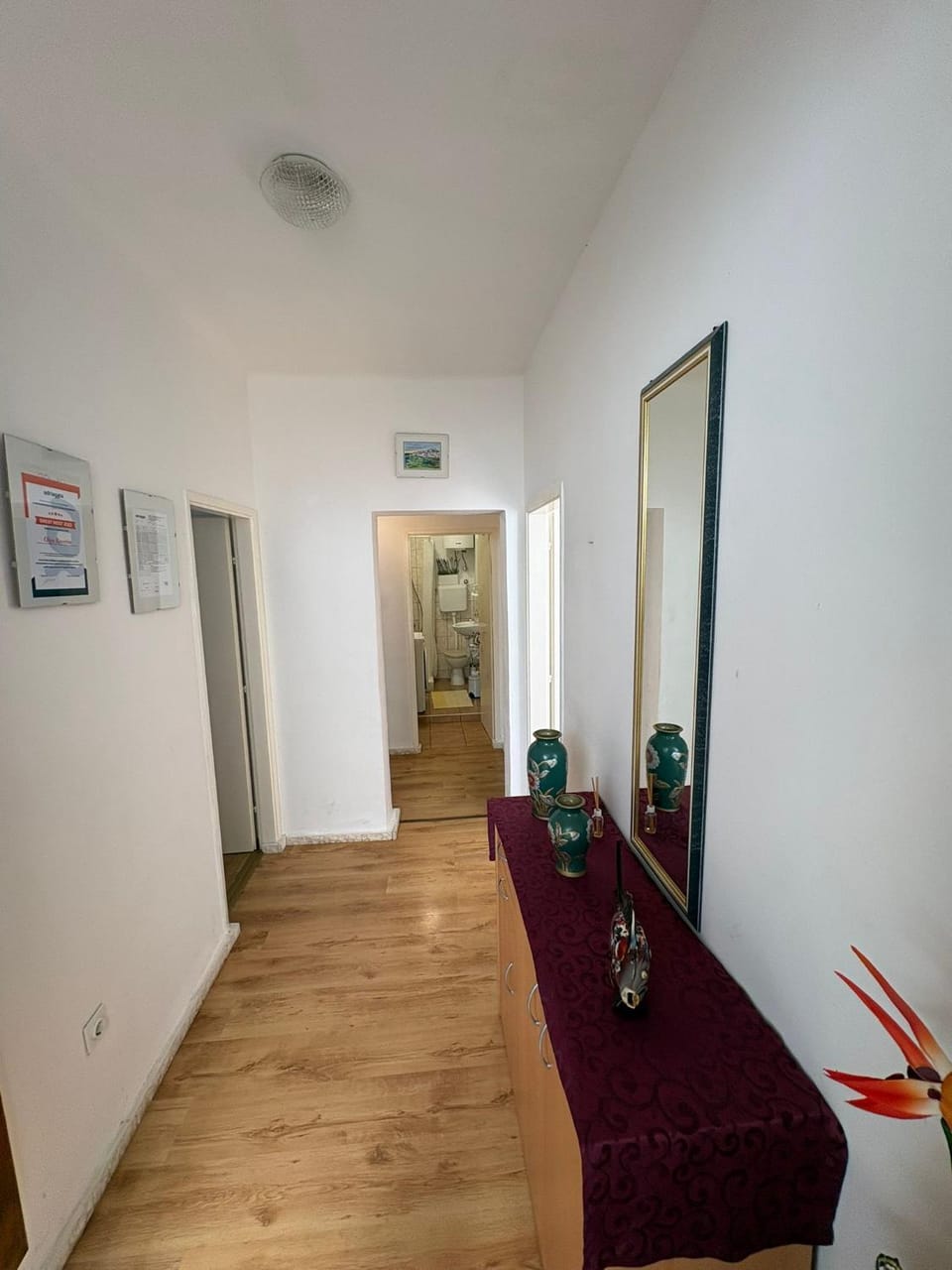 Apartman Olga Apartment in Trogir