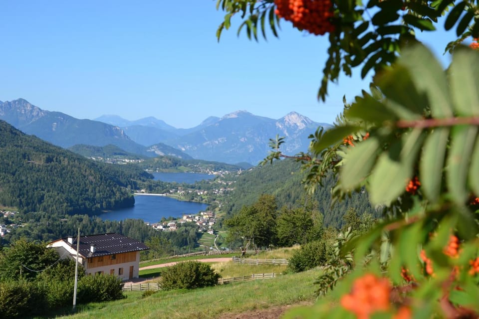 Nest Family, Bedollo Ospitar Apartment in Trentino-South Tyrol