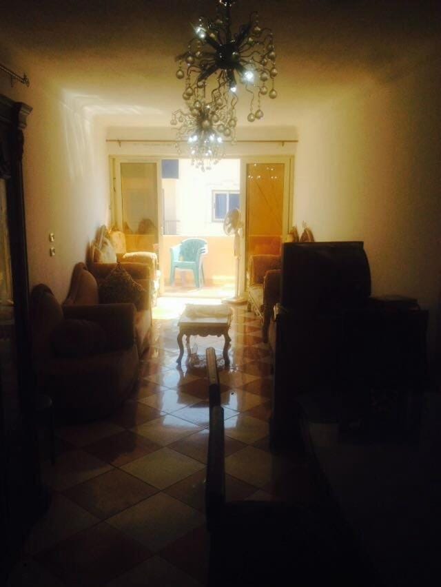 Qandil Miami Roof Apartment in Alexandria
