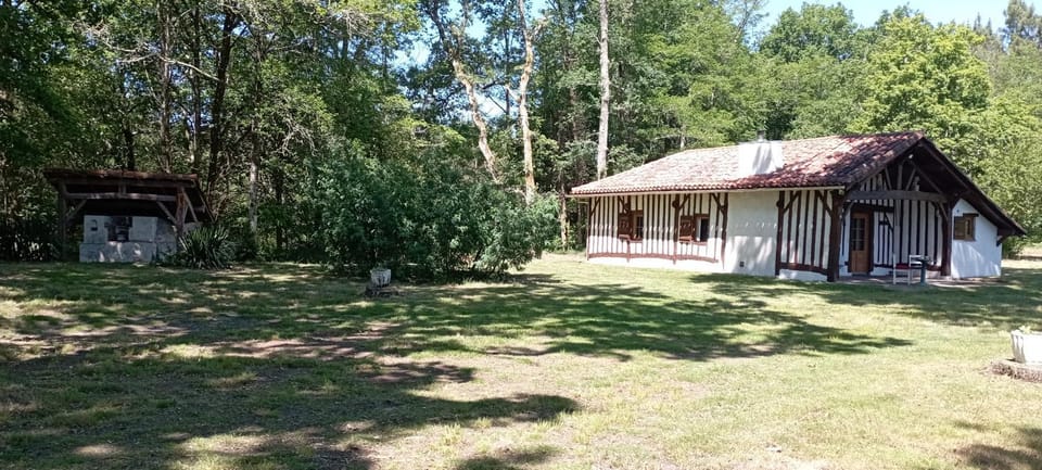 Maison landaise typique sur grand airial House in Nouvelle-Aquitaine