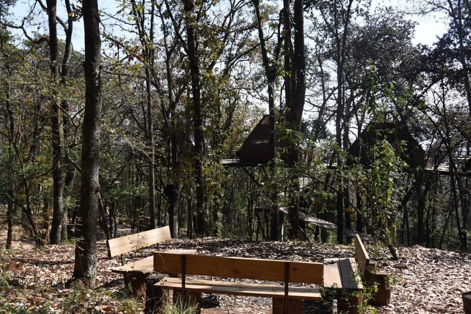Cabaña Komorebi, Punta del Bosque Campground/ 
RV Resort in Hidalgo, Mexico