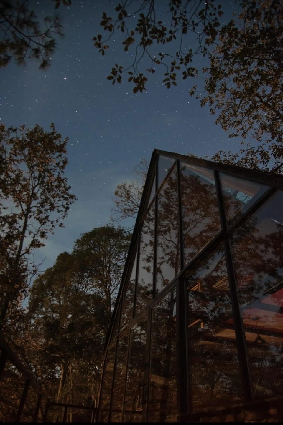 Cabaña Komorebi, Punta del Bosque Campground/ 
RV Resort in Hidalgo, Mexico