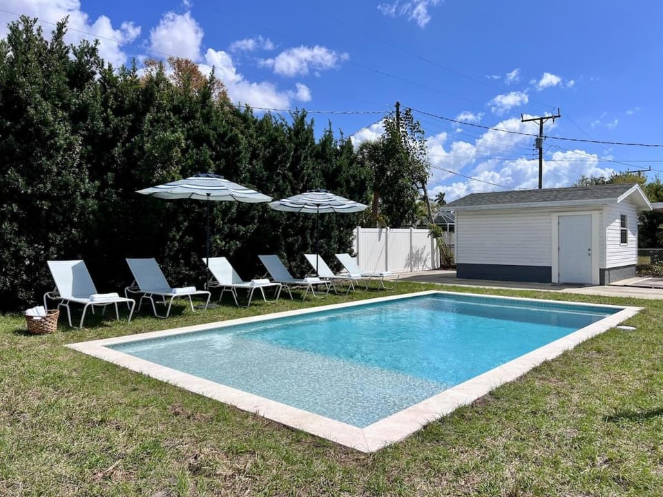 Garden, Pool view, Swimming pool, sunbed