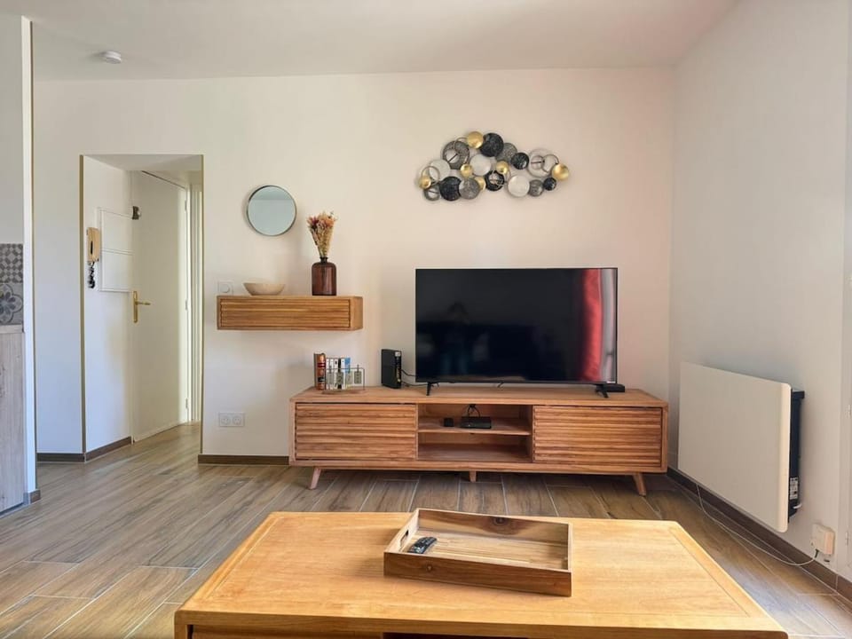 TV and multimedia