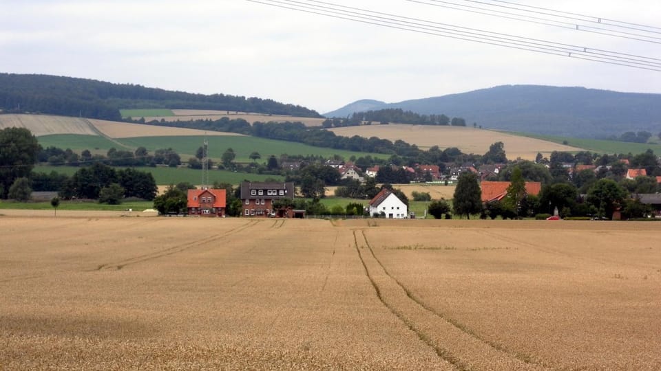 Natural landscape
