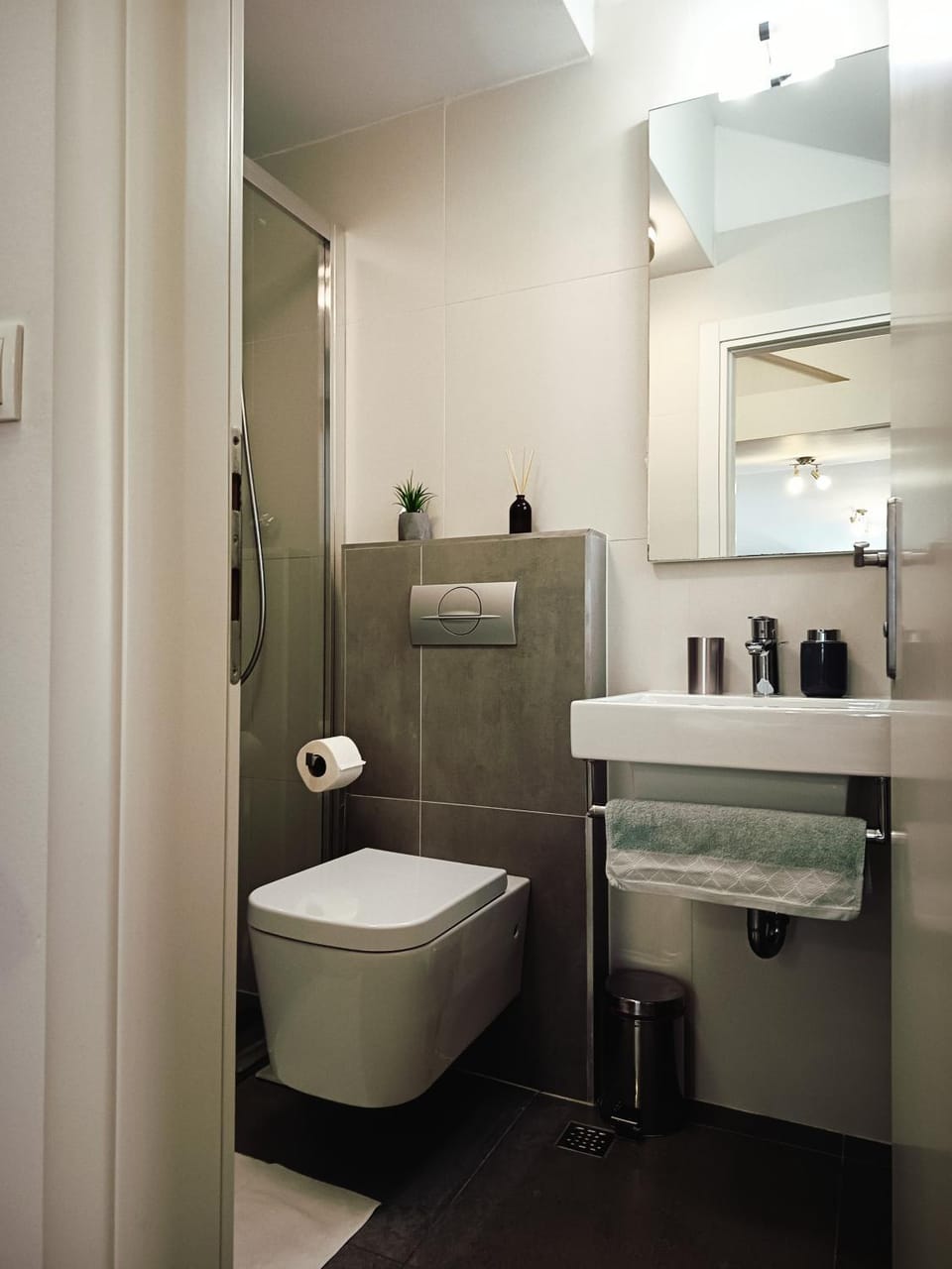 Shower, Toilet
