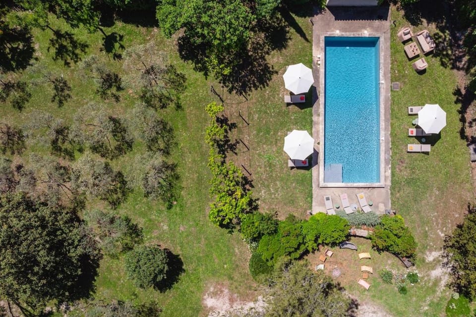 Garden, Swimming pool